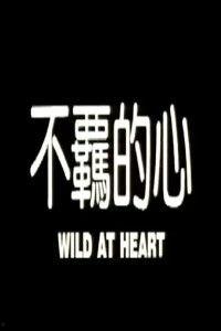 电影不羁的心在线观看,探寻自由灵魂的激情之旅