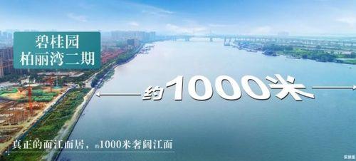 东莞都市爆料视频,揭秘城市生活背后的真实故事  第3张